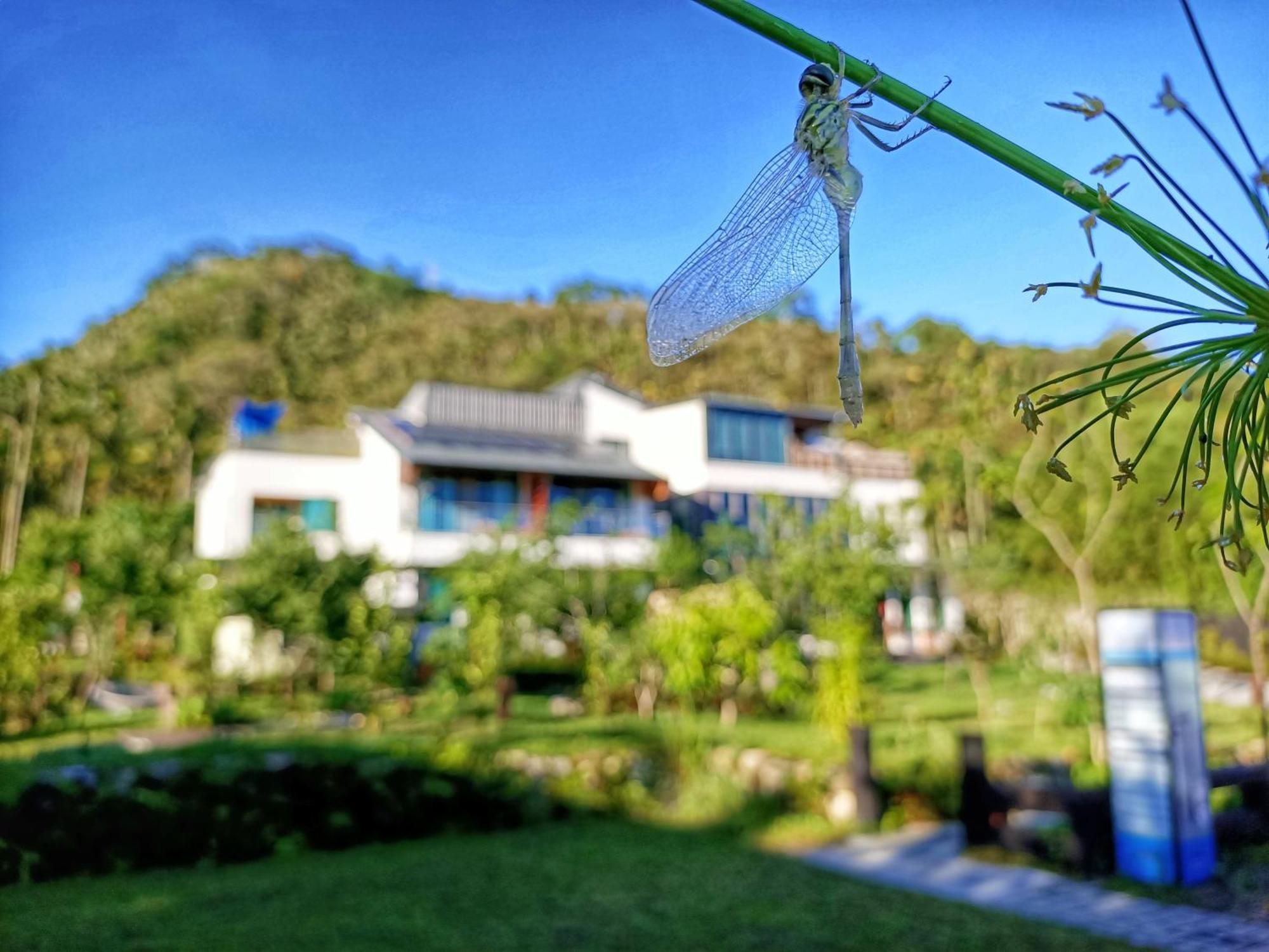Roaming Cloud Sun Moon Lake B&B Yuchi Exterior photo